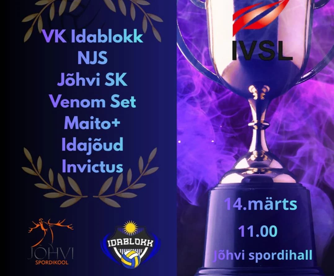 Ida-Virumaa meistrivõistlused segavõrkpallis